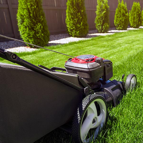 Lawn mower in green outdoor garden